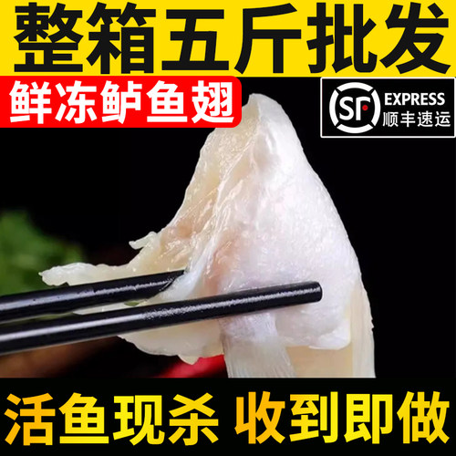新鲜鲈鱼翅5斤整箱【限时100单】