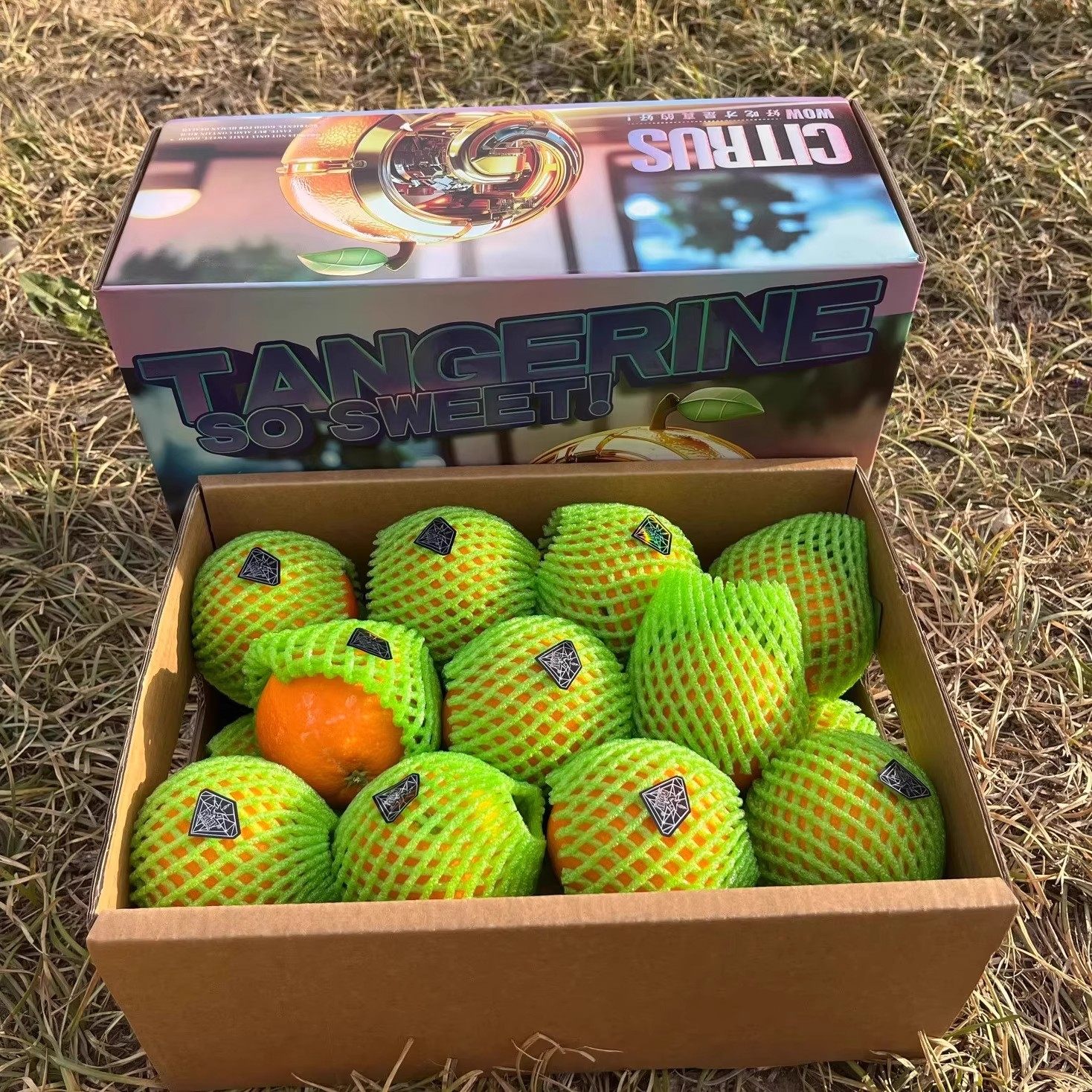 金刚钻脐橙产自赣南爆汁甜橙新鲜采摘当季橙子大果孕妇水果整箱,水产肉类/新鲜蔬果/熟食,橙,淘宝优惠券,粉丝福利购,淘宝优惠卷