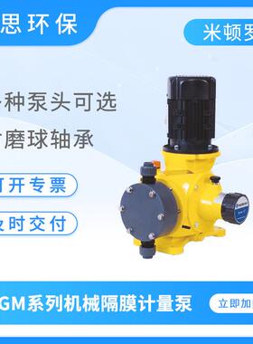 LMI机械隔膜式计量泵GM0120PQ1MNN流体输送泵大流量加药泵