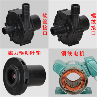 MP型化工磁力泵磁力驱动循环泵耐酸碱电镀15R20R55R70R100RM水泵