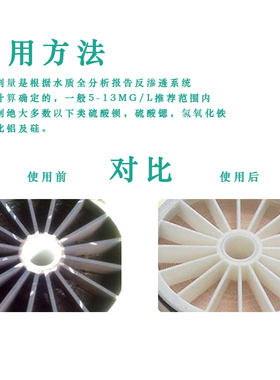反渗透阻垢剂酸洗剂碱洗剂BFP-0100RO膜除垢杀菌还原剂除臭浓缩液