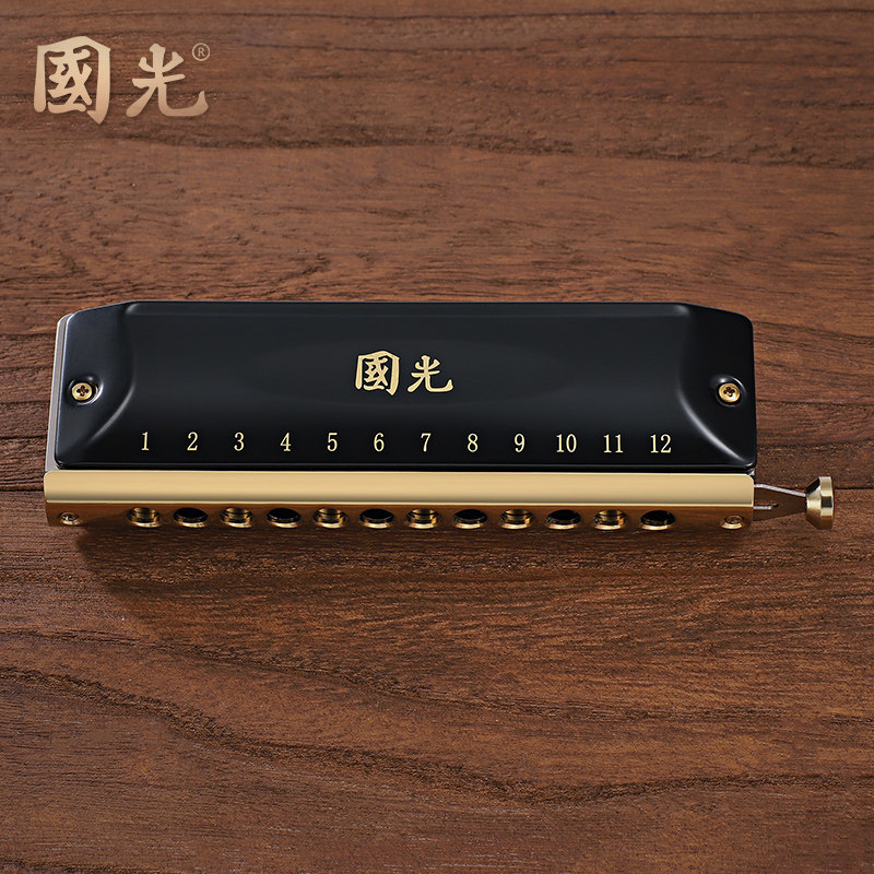 国光半音阶口琴12孔16孔成人专业演奏级学生初学者自学入门乐器