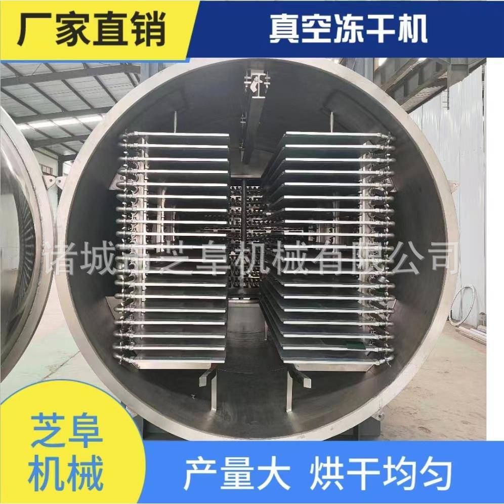 大型商用食品果蔬宠物粮冻干设备枸杞玫瑰火龙果等真空冻干机