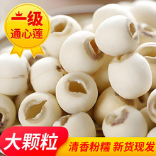 大粒去芯白莲子干货500g特级无芯湘莲特产去心带芯结婚用的莲子