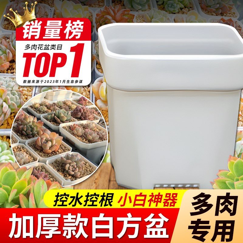 速发热卖八角大厚小白方多肉花盆特厚塑料方形植物黑插育苗盆加叶