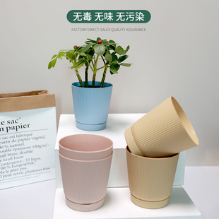 速发简约盆花创意个性 带托盘防根烂花盆家用绿萝蝴蝶兰多肉桌面小