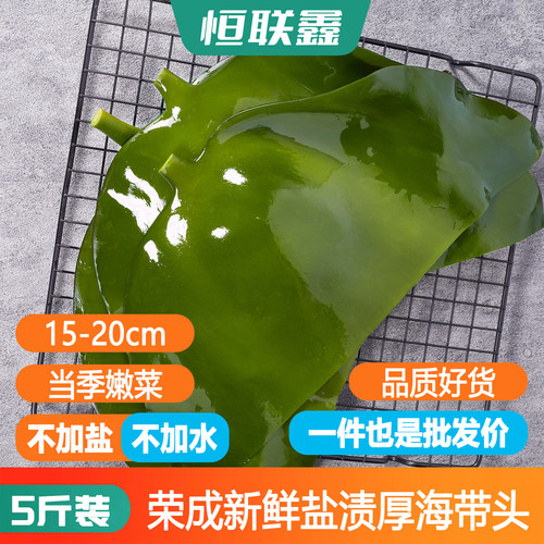 【净5斤】特厚海带头整箱批发