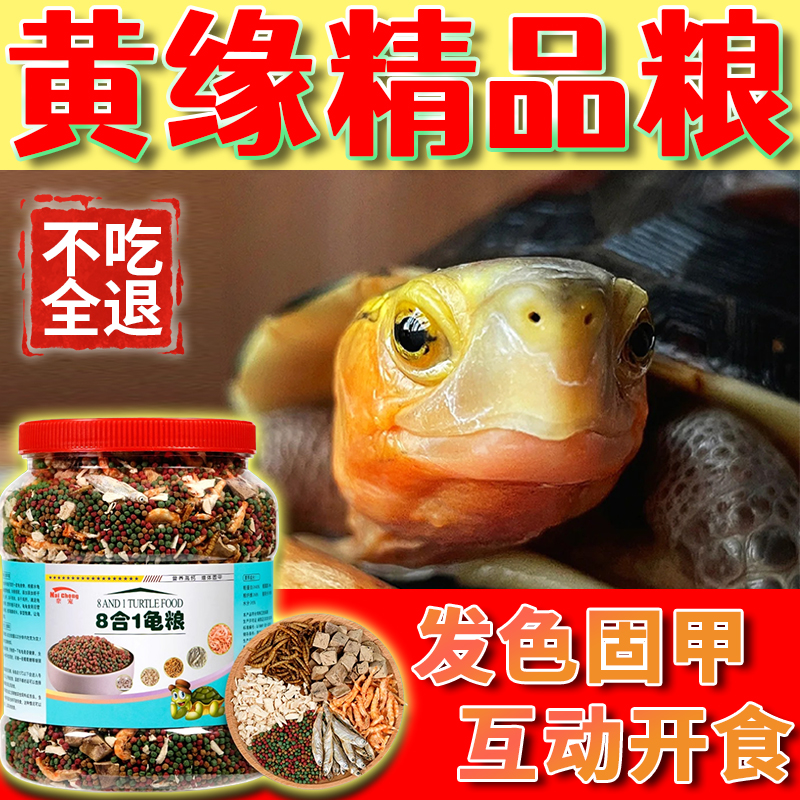 黄缘龟粮专用饲料闭壳盒龟台安缘龟小幼苗吃什么含虾干固甲发色粮