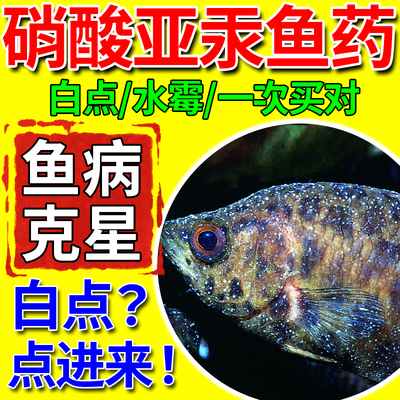【白点病问题专家】硝酸亚汞鱼药