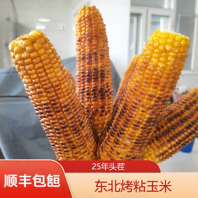2025东北手工炭烤糯玉米大棒