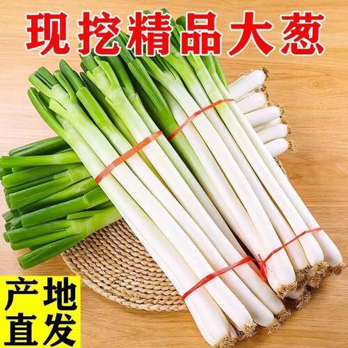 东北大葱新鲜去半叶东北大葱自产自销