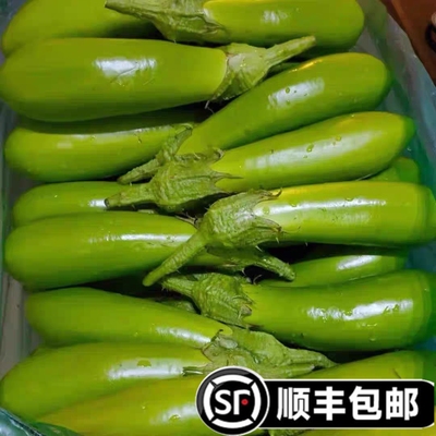 【顺丰包邮】东北绿长茄水果茄子青皮可生吃蘸酱嫩线茄子