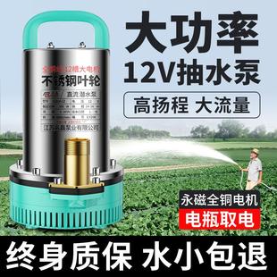 12v大功率抽水泵小型家用电瓶直流潜水泵24v抽水浇菜农用灌溉机