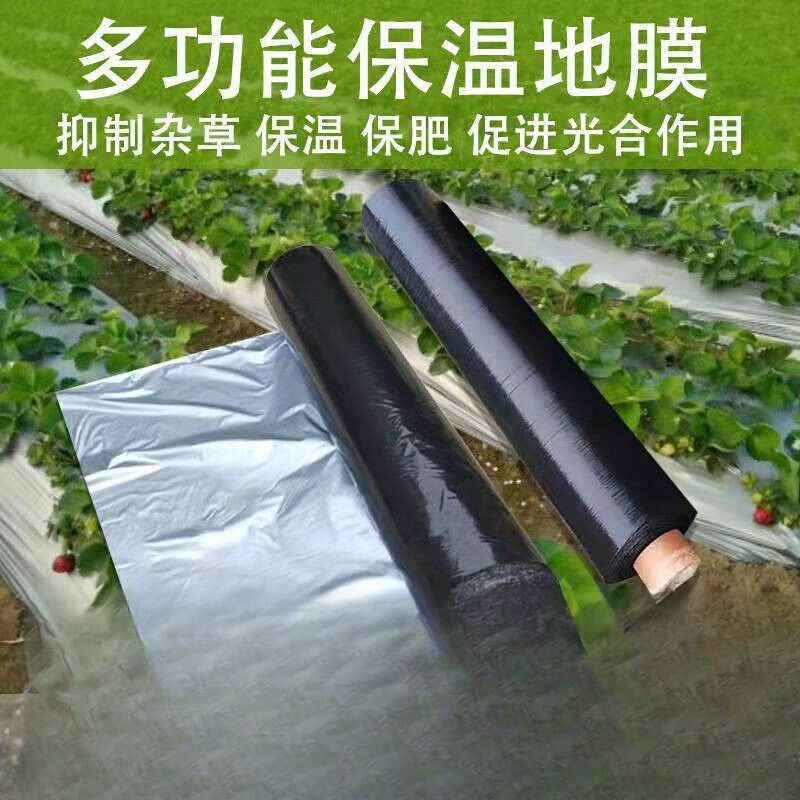 速发全新料银黑双色地膜加厚虫农反光地膜覆盖除保温地膜薄膜防用