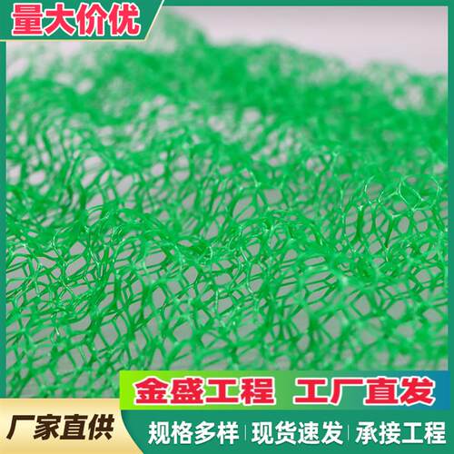 现货三维植被网hEM3EM4Em5绿化土工网河道护坡固土网生态三维网植
