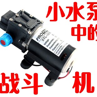 隔膜泵全自动增压泵喷雾器农用电动高压多功能直流泵X洗车清洗机