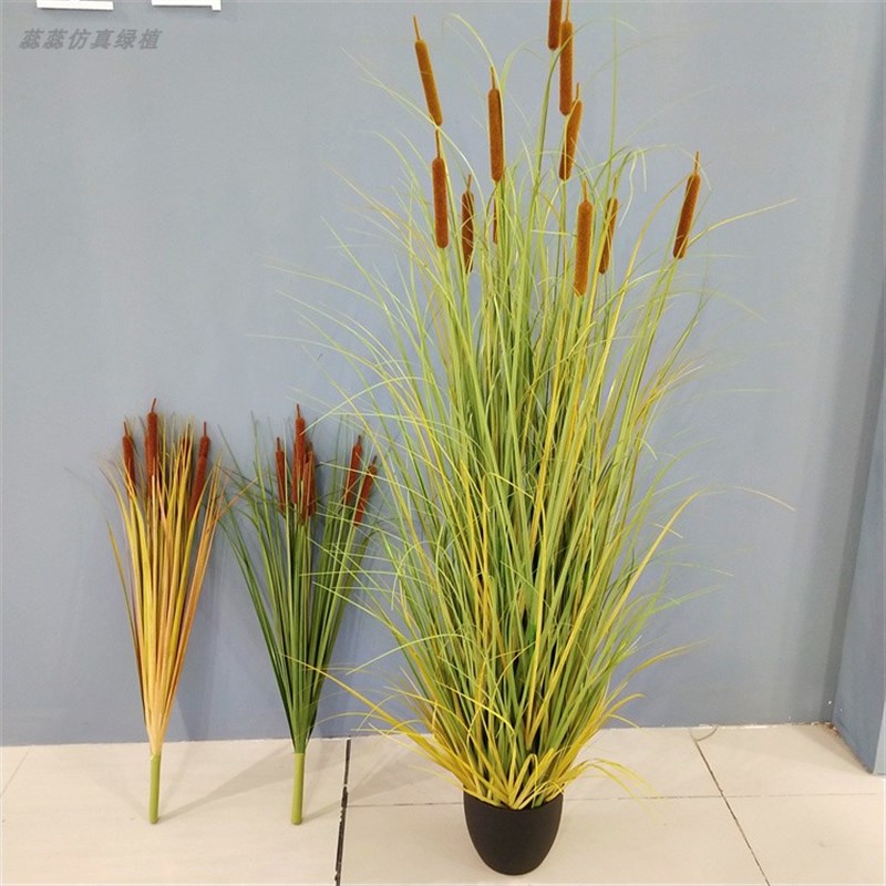 仿真芦苇香c蒲棒水草绿植把束蒲公英 水蜡烛 客厅植物落地盆栽装
