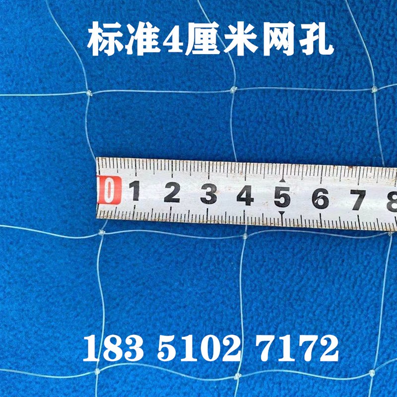 防鸟网草莓e大棚果树樱桃葡萄梨树果园防鸟用网尼龙养殖网鱼塘天