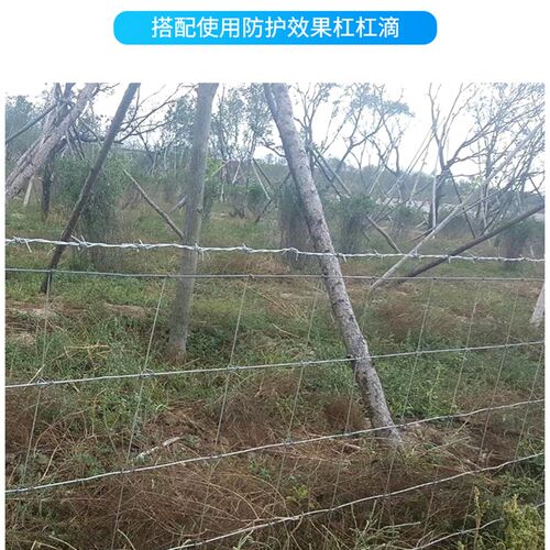 镀锌铁丝a网牛栏网养殖防护网隔离网格养牛羊钢丝护栏网果园围栏
