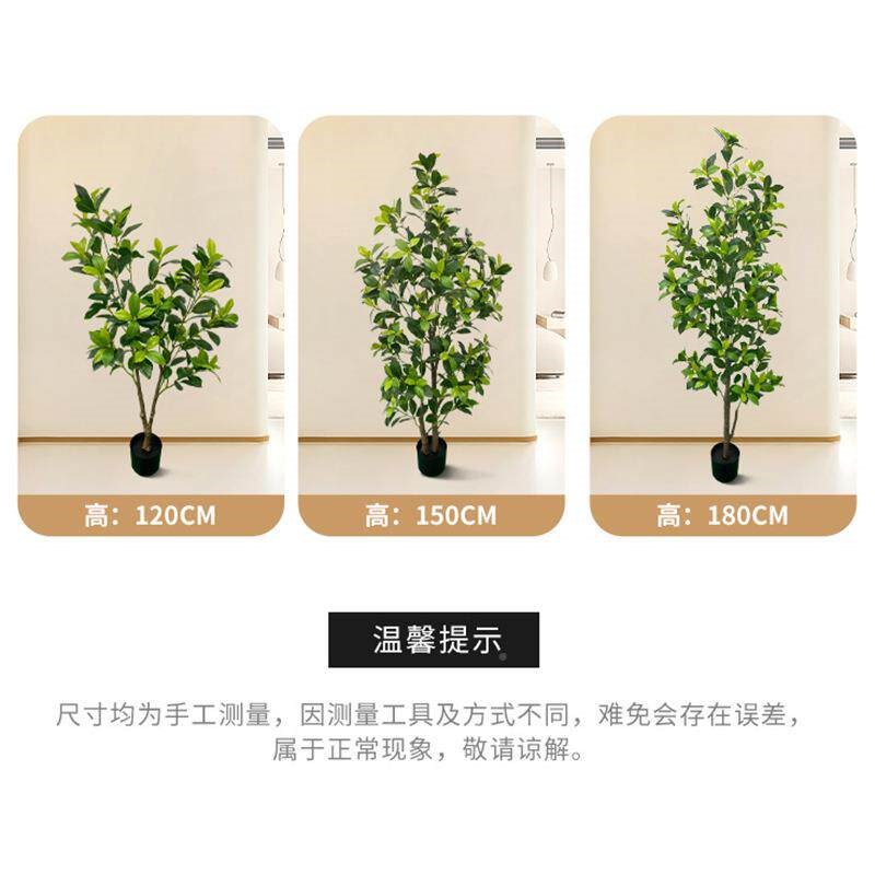 速发FXP2412仿真绿植灰假莉榕饰品客厅摆件婚庆装红饰网盆家居办