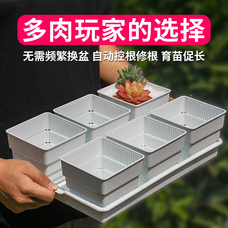 速发美莳多肉控根花盆带托盘大号塑形创意植气肉肉透物长条料套装