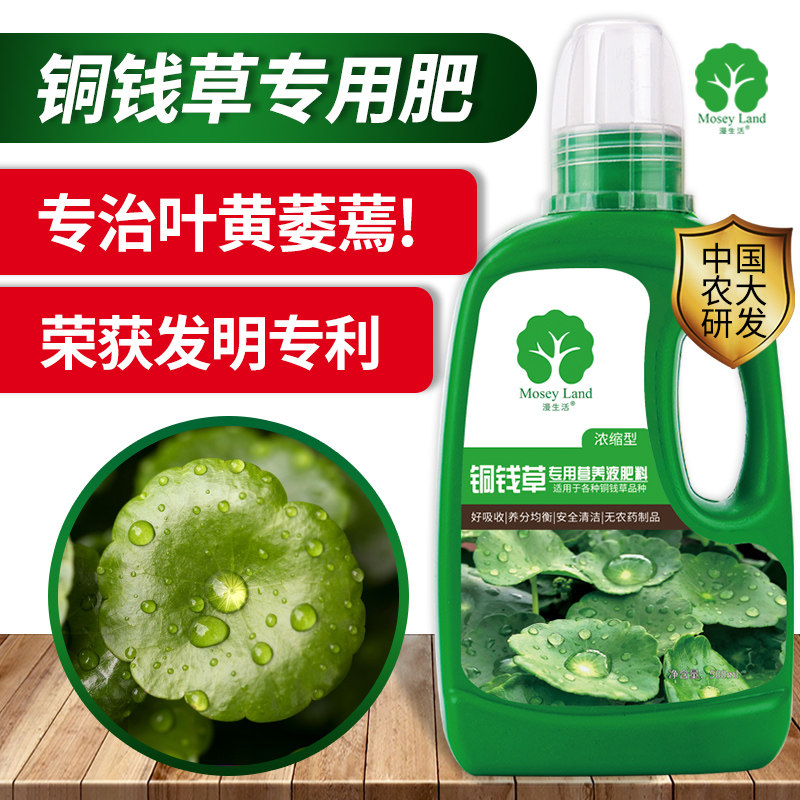 速发铜钱草肥铜钱漫盆栽植物肥料生养液草营活园艺