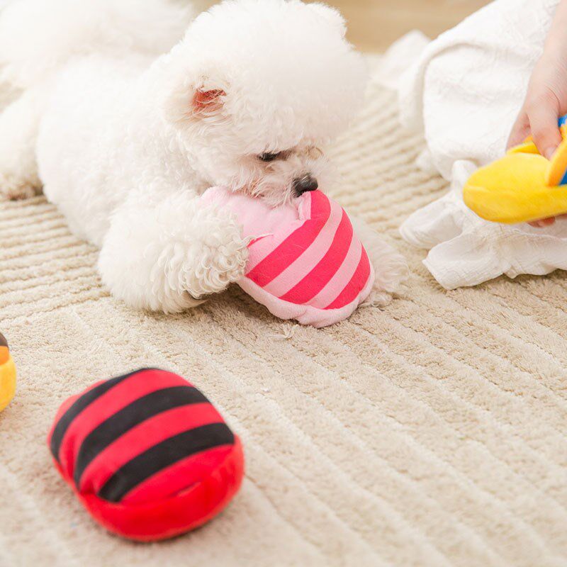 速发拖鞋发声玩具磨牙耐咬泰迪法斗小型犬大型犬幼犬用品