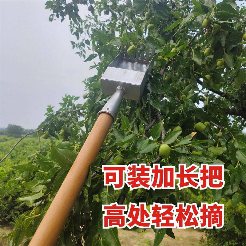 速发摘酸枣神器新款摘枣子机手动农用采摘摘果器防扎手打龙眼核桃