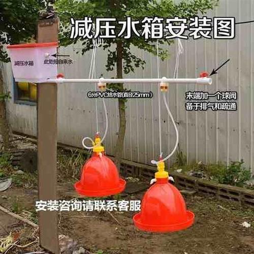 速发小鸡饮水壶自动雏鸡鸭鹅饮水器养殖喂水设备禽用饮水喂水器