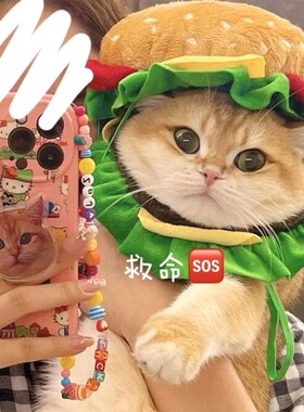 速发猫饰汉堡头套可爱头饰变装拍照道小具型犬装扮服咪品