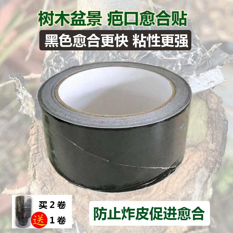 速发老崔盆景色树木伤口炸皮疤口愈黑合防锡箔纸贴快速形成马眼