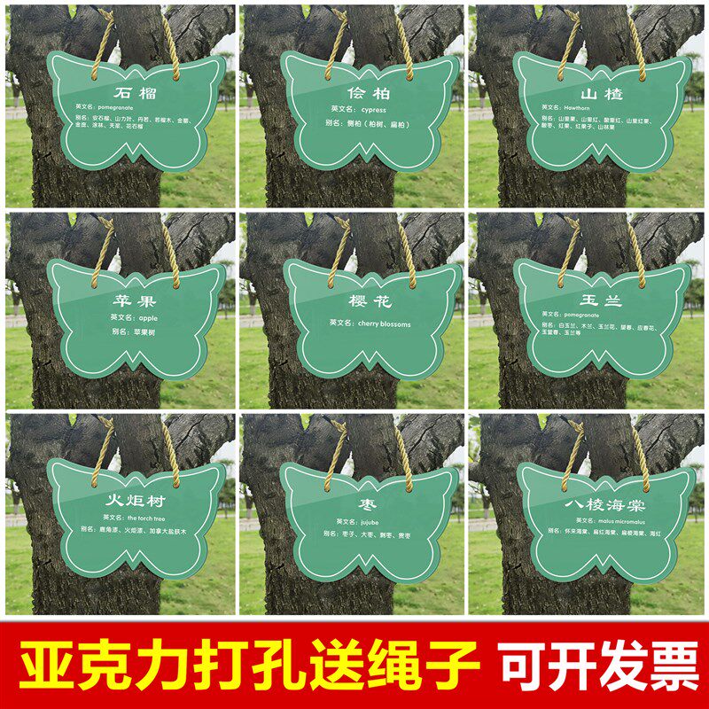 速发树牌挂牌学校公园不锈钢插地牌子植物绿化信息牌铭牌树木介绍