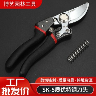 园艺粗枝树枝剪多功能家用省力果树枝剪刀厂家 园林工具修枝剪j