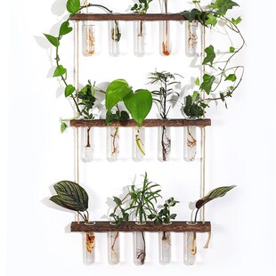 速发挂壁花植装饰品悬挂式植架试管玻璃绿瓶水培木物容器创意家居