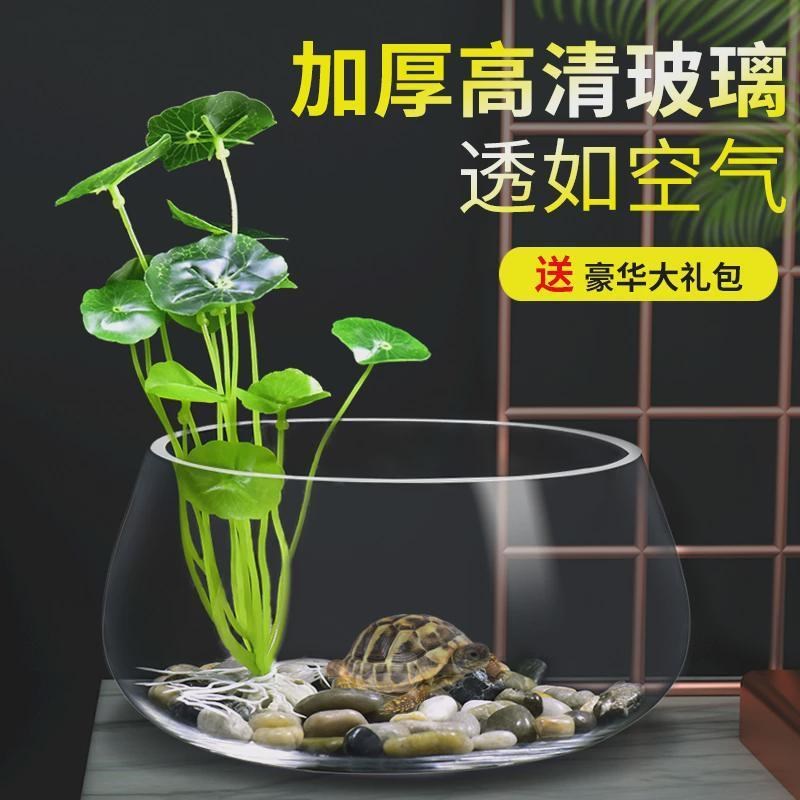 速发乌龟缸玻璃圆形养殖缸箱办公桌家用小鱼创意小型迷你桌面龟缸