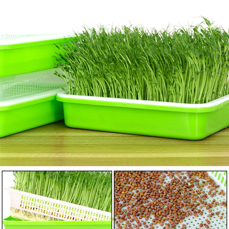 现货速发豆芽发芽盆水培蔬菜设备豌豆苗种植架无土栽培托家用芽苗