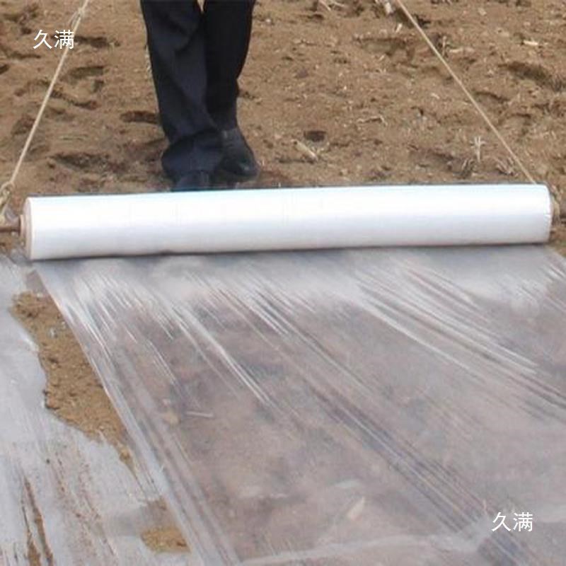 速发大棚塑料膜骨架大棚地膜塑料种植蔬菜保温养殖场农业