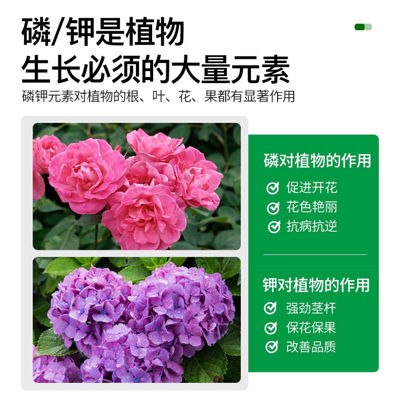 现货速发磷酸二氢钾肥料花卉农用养植物盆栽绿叶促花磷钾肥叶面肥