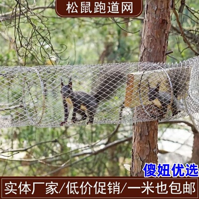 幼儿园松鼠跑道笼子萌宠乐园专用