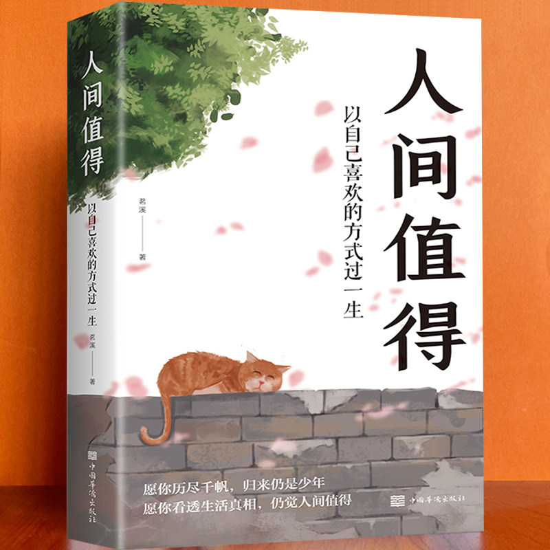 人间值得以自己喜欢的方式过一生成长励志书愿你遍历山河仍觉值得