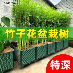 竹子花盆果树种植箱栽树户外花箱种菜箱大号家用阳台盆栽塑料