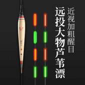 芦苇漂加长电子漂筏钓电子漂长脚夜E光漂光纤尾大物青鱼库钓漂黑