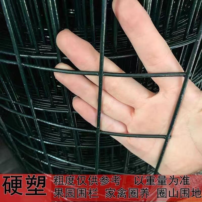 硬塑铁丝网防锈钢丝网p荷兰网养鸡网隔离圈地果园鱼塘养殖围栏护