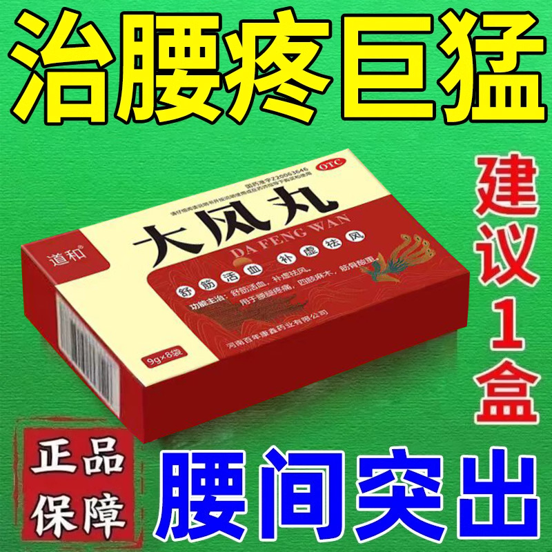 【人福医药】大风丸9克*8袋/盒