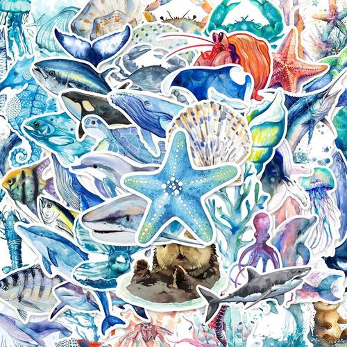 100张卡通手绘海洋系列涂鸦贴纸创意装饰笔记本iPad防水贴画