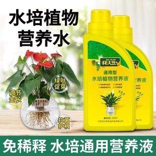 免稀释水培植物营养液龟背竹富贵竹专用水养郁金香绿萝植物通用型