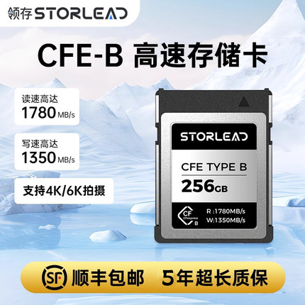 领存CFEB相机内存卡TYPEB高速存储卡256G闪存适用于佳能尼康松下