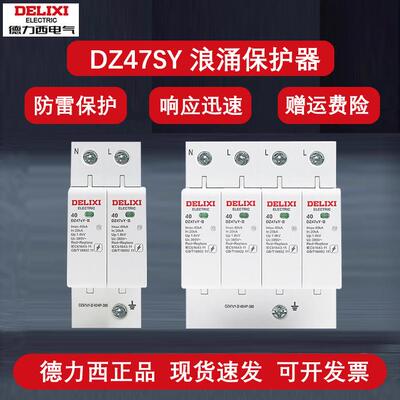 德力西DZ47SY浪涌防雷击保护器2P家用220V避雷器40KA65KA三相380V