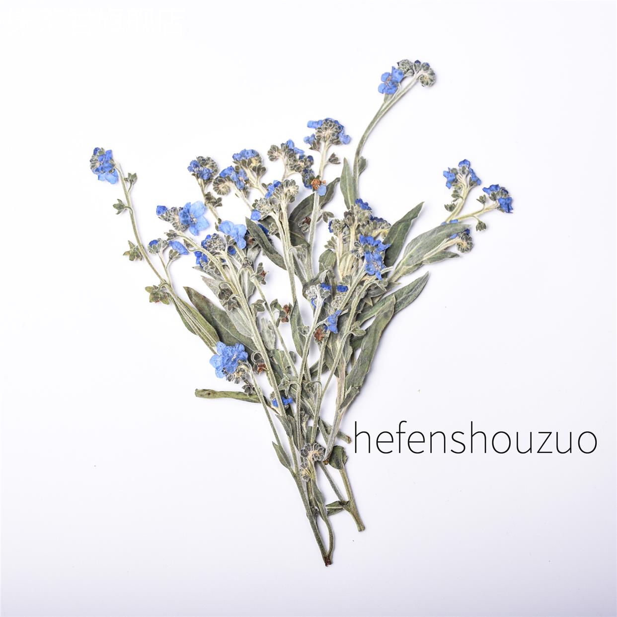 速发勿忘我干花 花手工材料 滴胶饰品压干花相框胶花 滴押手机壳