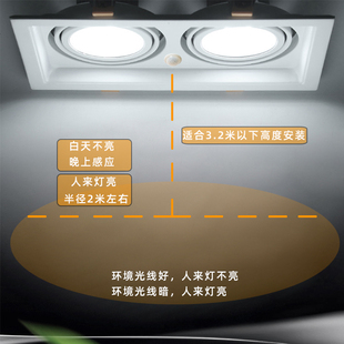 双头人体红外感应LED斗胆灯智能开孔嵌入式筒灯24瓦暖光豆胆射灯
